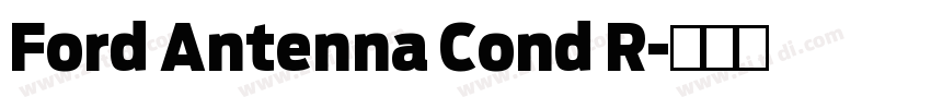 Ford Antenna Cond R字体转换